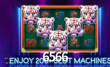 Seasonal Promotions 6566